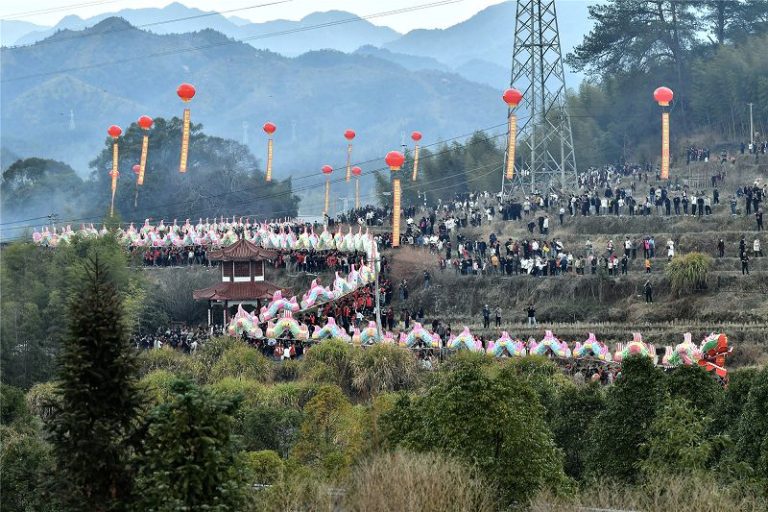 圖為2月12日，連城縣姑田鎮，蜿蜒於鄉間田野的大龍吸引眾多民眾和遊客前來觀賞。　中新網